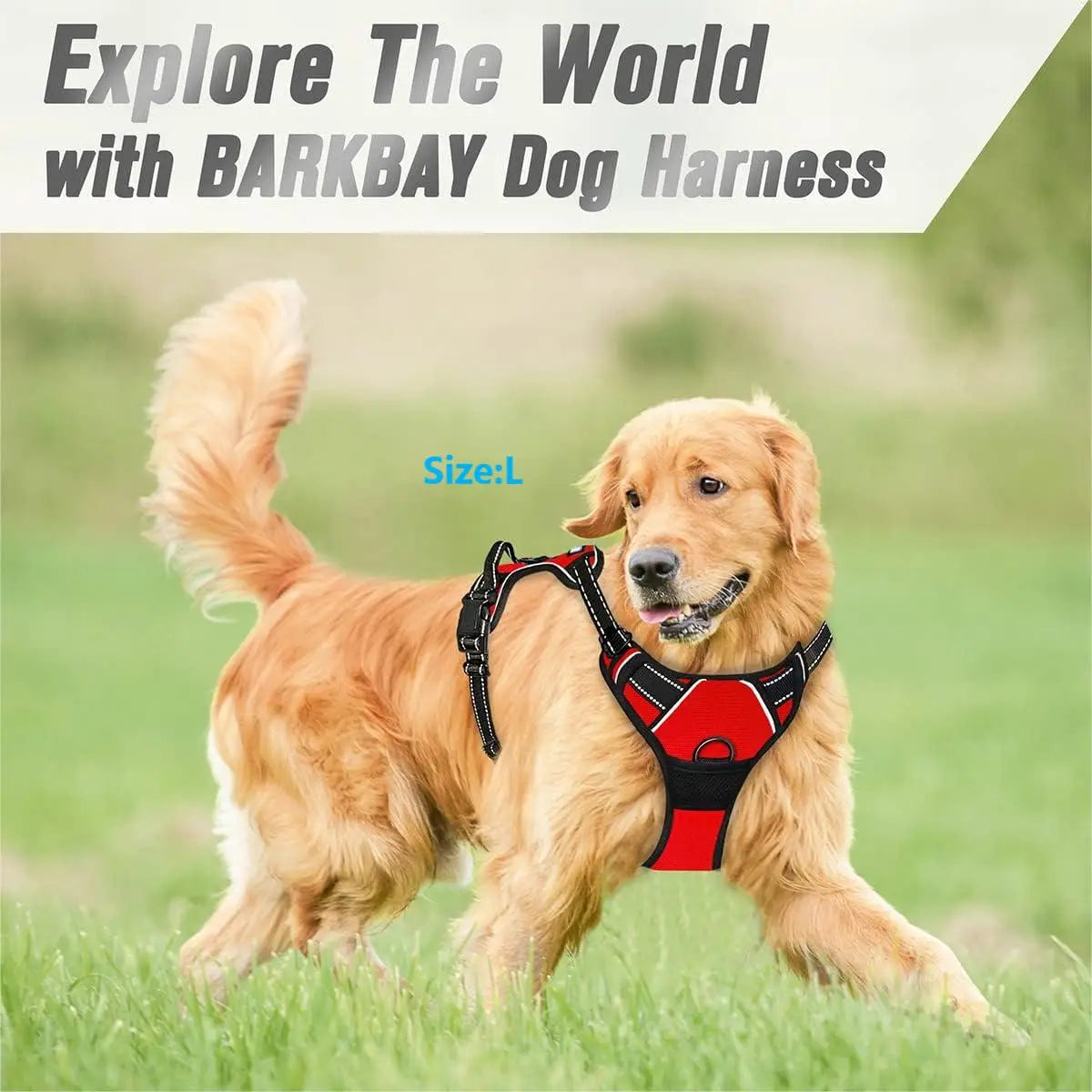 No-Pull Dog Harness – Calm, Pain-Free Walks for Dogs of Every Size (Reflective & Adjustable)