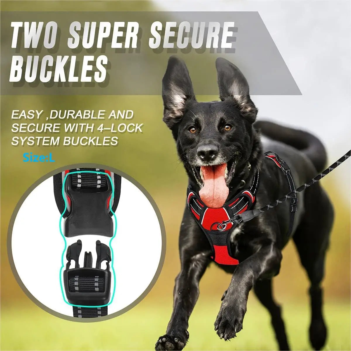 No-Pull Dog Harness – Calm, Pain-Free Walks for Dogs of Every Size (Reflective & Adjustable)