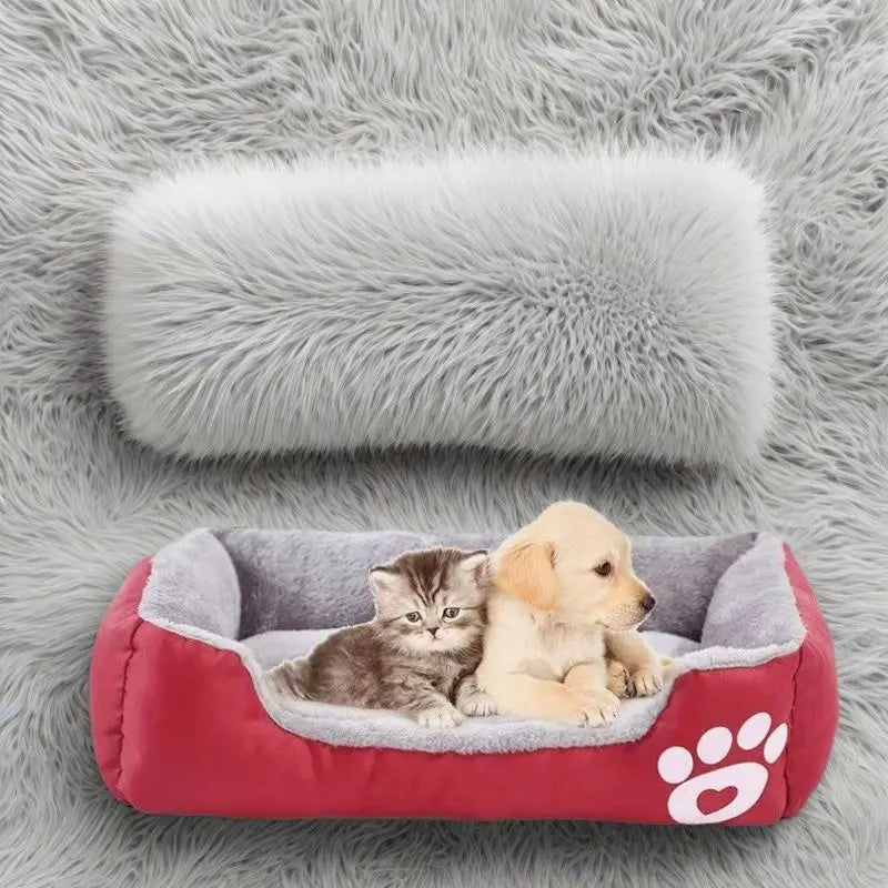 Premium Orthopedic Dog Bed - Plush Memory Foam Pet House For Small To Large Dogs