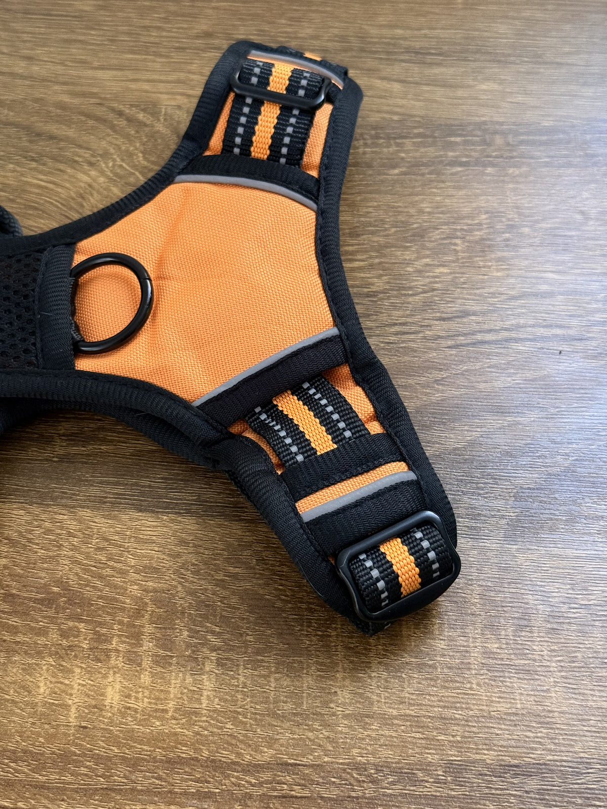 An orange and black dog harness laid flat on a brown wooden surface, featuring a black metal ring and adjustable straps with plastic buckles.
