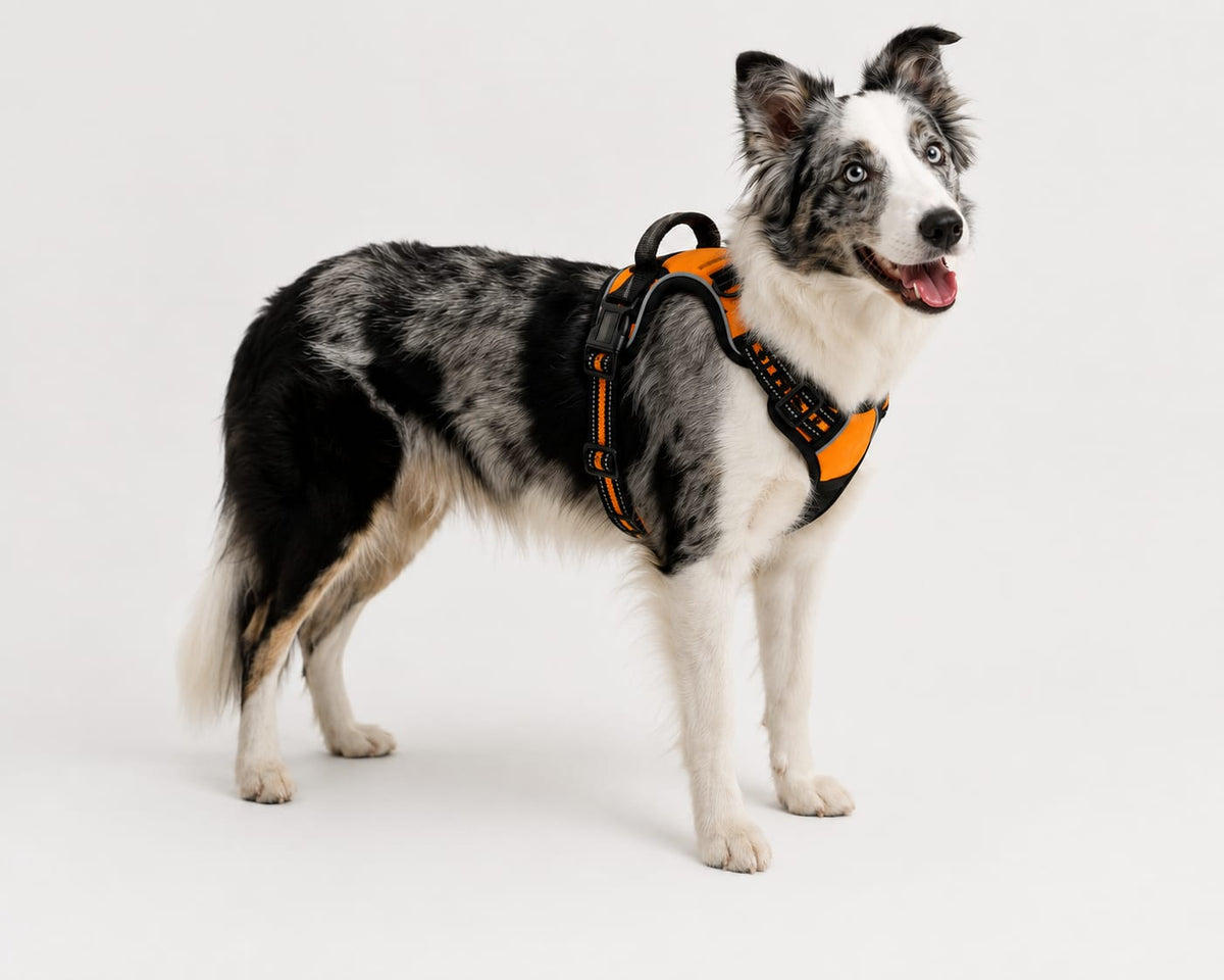 No-Pull Dog Harness – Calm, Pain-Free Walks for Dogs of Every Size (Reflective & Adjustable)
