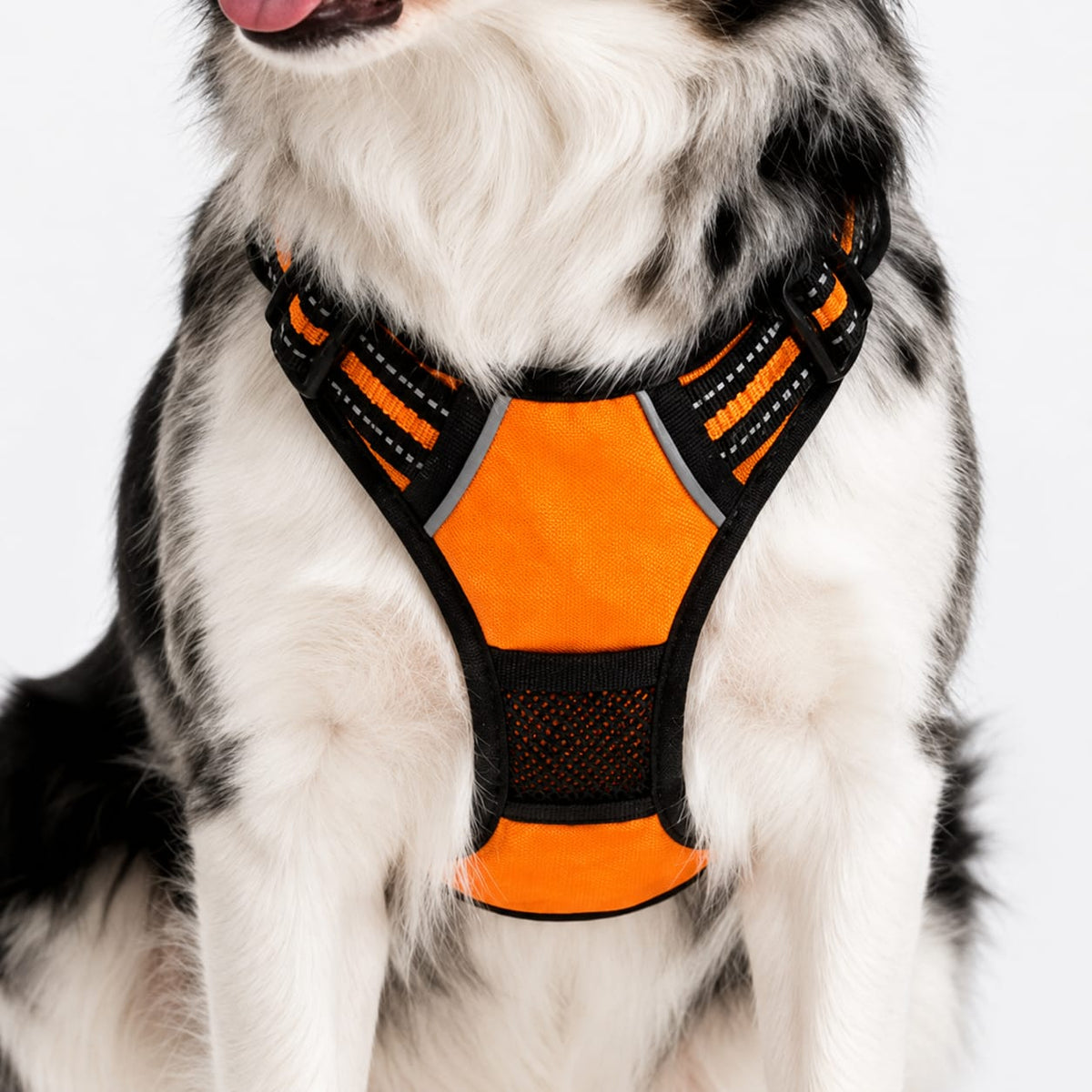 No-Pull Dog Harness – Calm, Pain-Free Walks for Dogs of Every Size (Reflective & Adjustable)