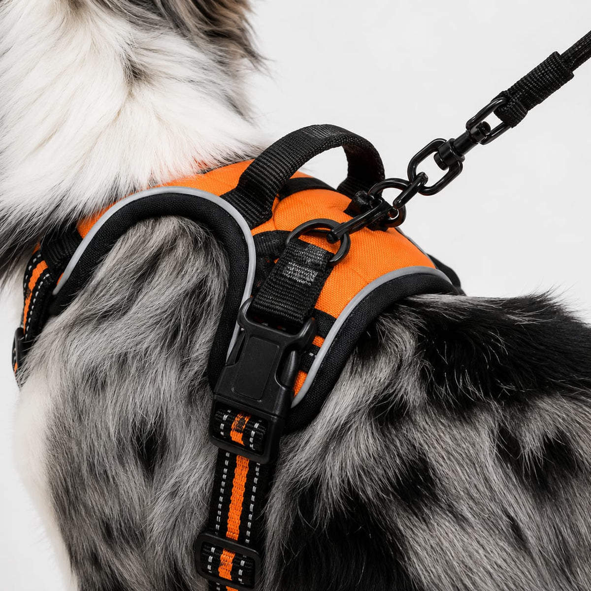 No-Pull Dog Harness – Calm, Pain-Free Walks for Dogs of Every Size (Reflective & Adjustable)
