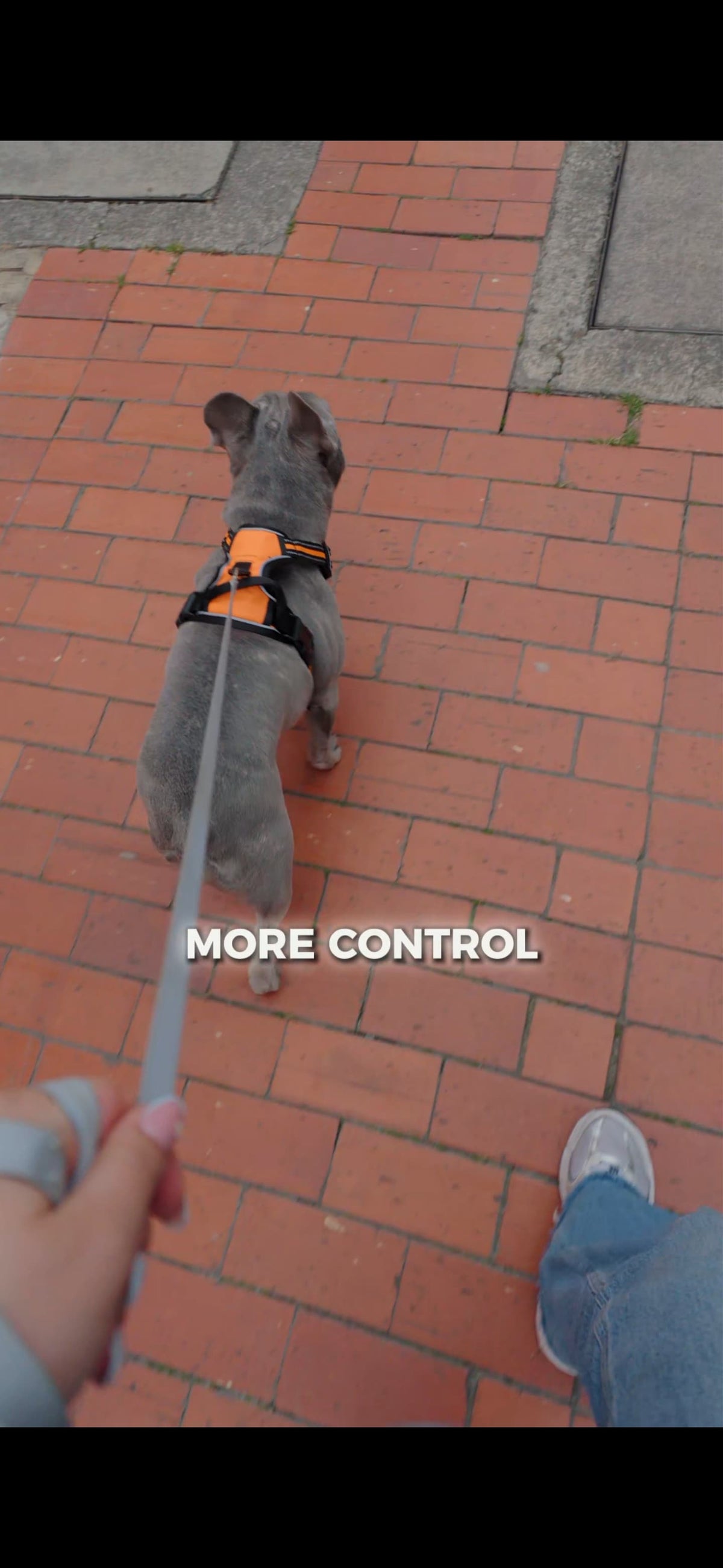 No-Pull Dog Harness – Calm, Pain-Free Walks for Dogs of Every Size (Reflective & Adjustable)