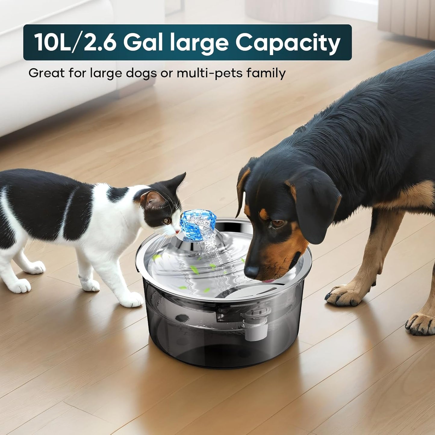 Automatic Pet Water Fountain – 2.6 Gal/10L Circulating Dispenser for Dogs, Cats & Multiple Pets