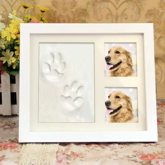 DIY Pet Paw Print Frame Kit – Keepsake Memory Gift for Dogs & Cats